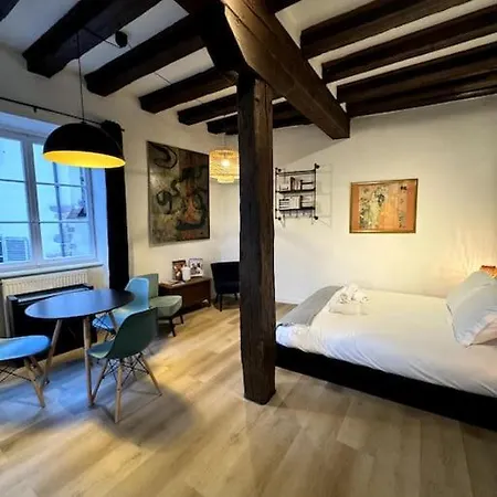Schwendi - Le Petit Tanneur - En Hypercentre Appartement Colmar