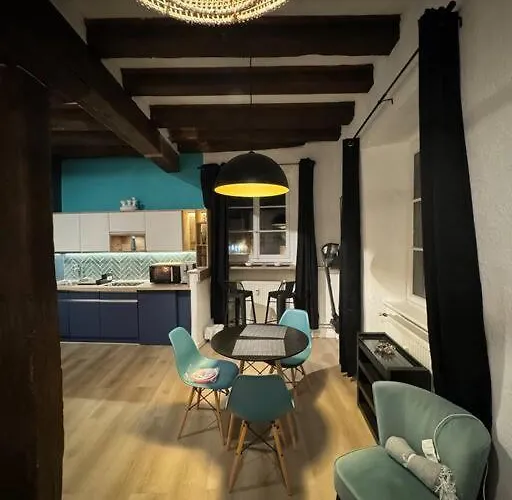 Schwendi - Le Petit Tanneur - En Hypercentre Colmar