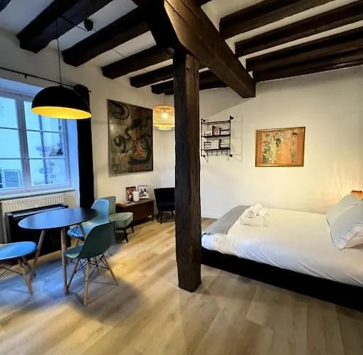 Schwendi - Le Petit Tanneur - En Hypercentre Apartment Colmar