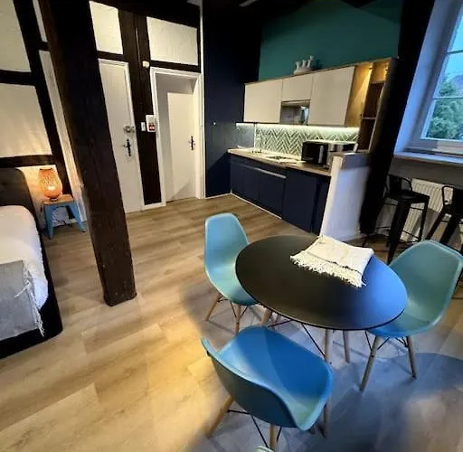 Schwendi - Le Petit Tanneur - En Hypercentre Colmar