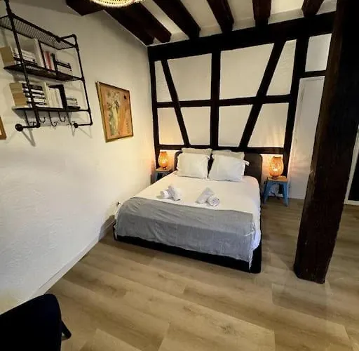 Apartmán Schwendi - Le Petit Tanneur - En Hypercentre