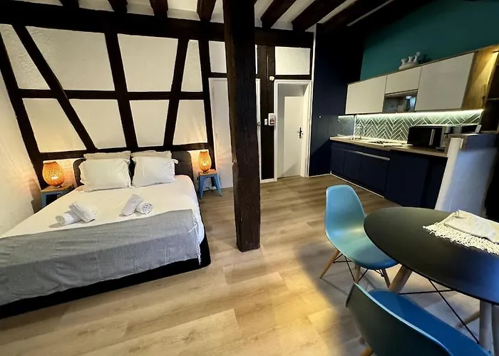 Schwendi - Le Petit Tanneur - En Hypercentre Apartmán Colmar